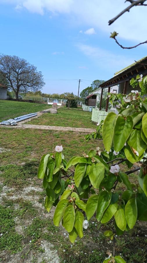 Villa Diiva Csúrog Kültér fotó