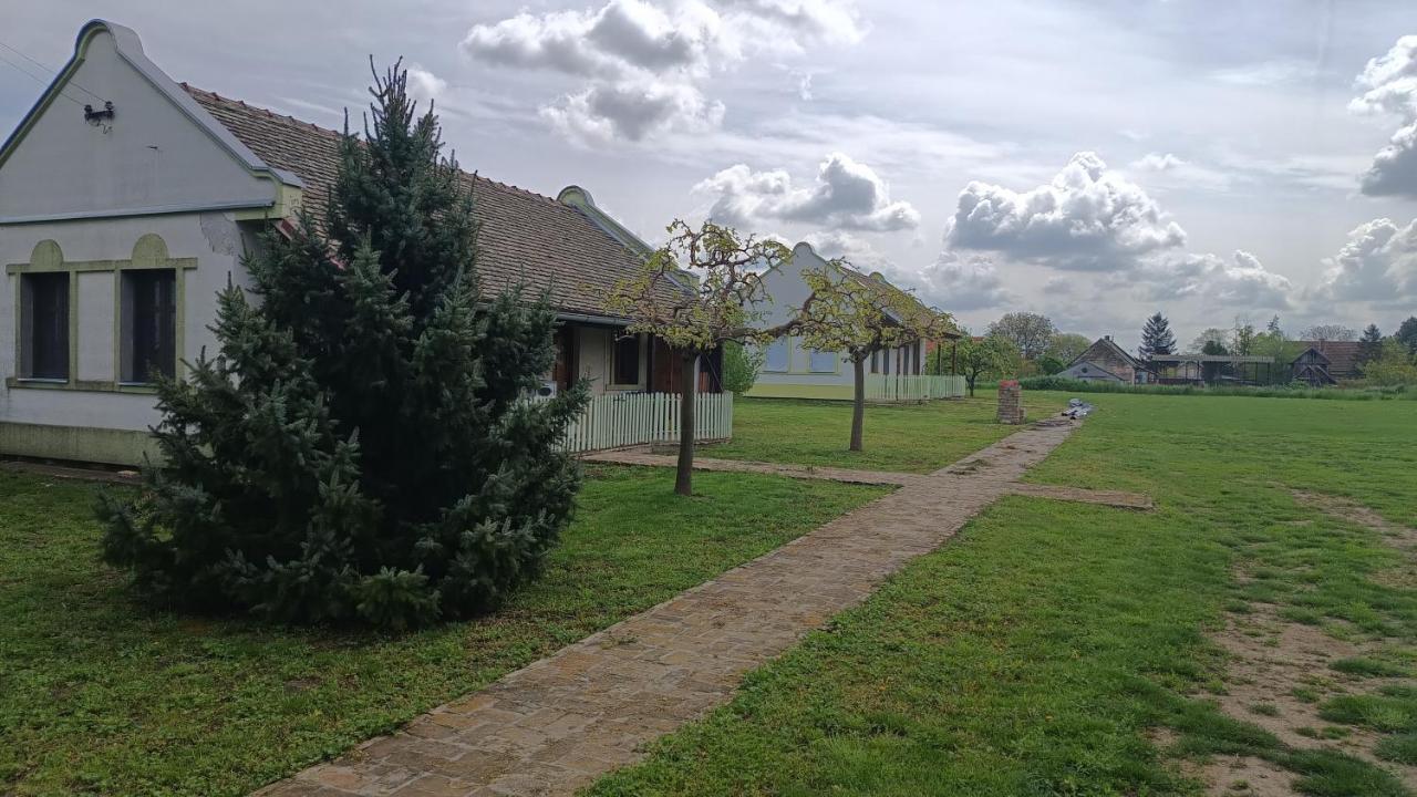 Villa Diiva Csúrog Kültér fotó