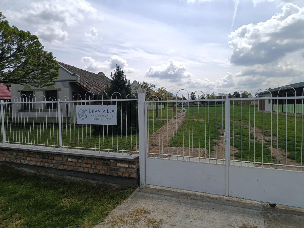 Villa Diiva Csúrog Kültér fotó