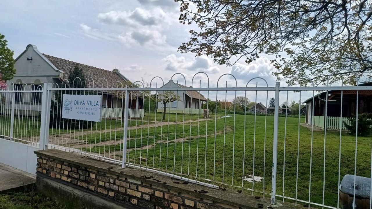 Villa Diiva Csúrog Kültér fotó